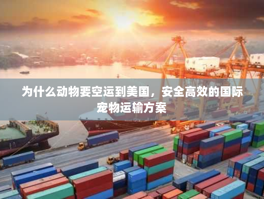 为什么动物要空运到美国,安全高效的国际宠物运输方案 为什么动物要空运到美国,安全高效的国际宠物运输方案