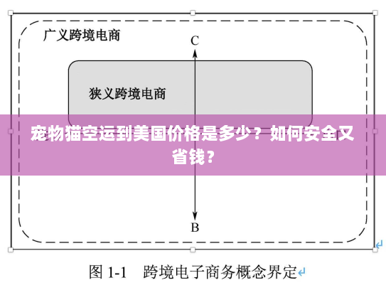 宠物猫空运到美国价格是多少?如何安全又省钱? 宠物猫空运到美国价格是多少?如何安全又省钱?