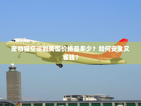 宠物猫空运到美国价格是多少?如何安全又省钱? 宠物猫空运到美国价格是多少?如何安全又省钱?