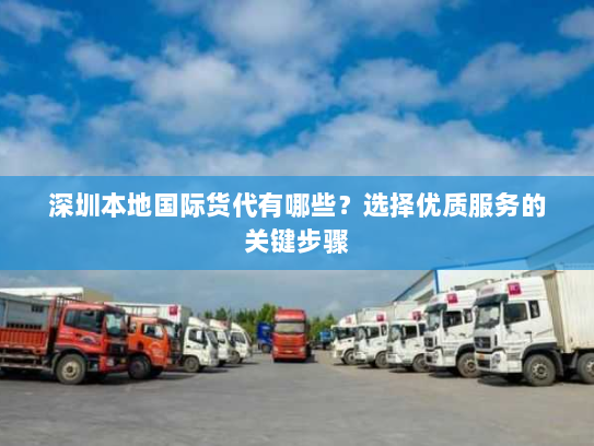深圳本地国际货代有哪些?选择优质服务的关键步骤 深圳本地国际货代有哪些?选择优质服务的关键步骤