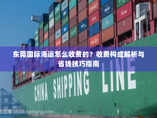 东莞国际海运怎么收费的？收费构成解析与省钱技巧指南