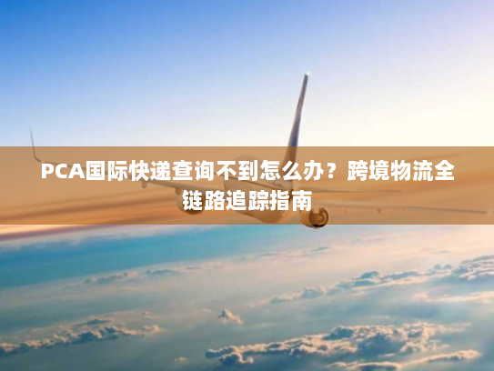 PCA国际快递查询不到怎么办？跨境物流全链路追踪指南