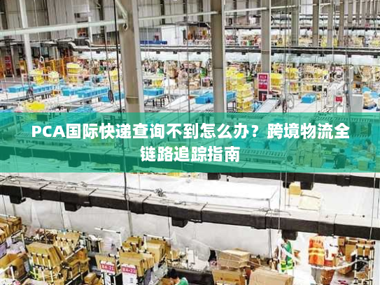 PCA国际快递查询不到怎么办？跨境物流全链路追踪指南