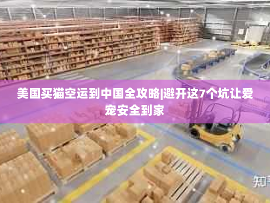 美国买猫空运到中国全攻略|避开这7个坑让爱宠安全到家 美国买猫空运到中国全攻略|避开这7个坑让爱宠安全到家