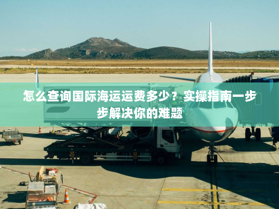 怎么查询国际海运运费多少？实操指南一步步解决你的难题