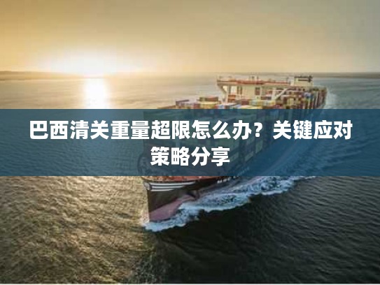 巴西清关重量超限怎么办？关键应对策略分享