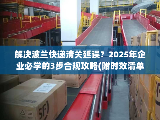 解决波兰快递清关延误？2025年企业必学的3步合规攻略(附时效清单)