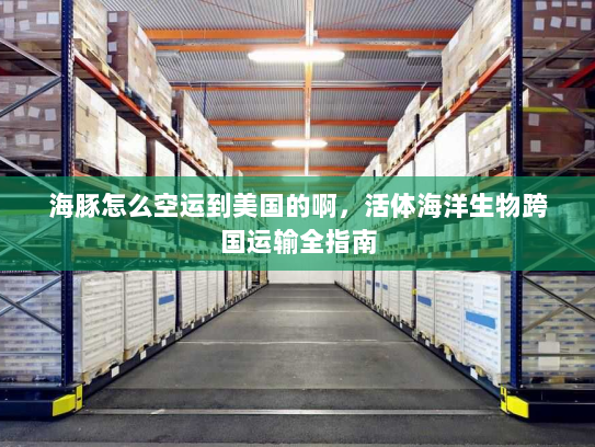 海豚怎么空运到美国的啊，活体海洋生物跨国运输全指南