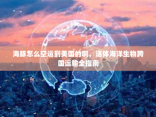 海豚怎么空运到美国的啊,活体海洋生物跨国运输全指南 海豚怎么空运到美国的啊,活体海洋生物跨国运输全指南