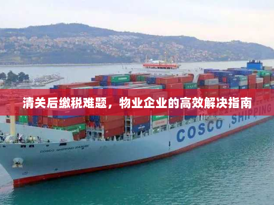 清关后缴税难题,物业企业的高效解决指南 清关后缴税难题,物业企业的高效解决指南