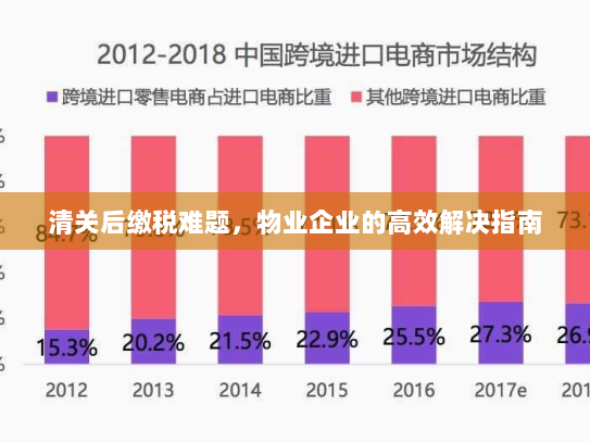 清关后缴税难题,物业企业的高效解决指南 清关后缴税难题,物业企业的高效解决指南