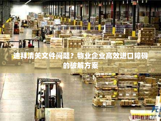 迪拜清关文件问题?物业企业高效进口障碍的破解方案 迪拜清关文件问题?物业企业高效进口障碍的破解方案
