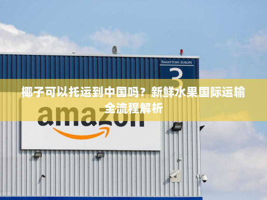 椰子可以托运到中国吗?新鲜水果国际运输全流程解析 椰子可以托运到中国吗?新鲜水果国际运输全流程解析