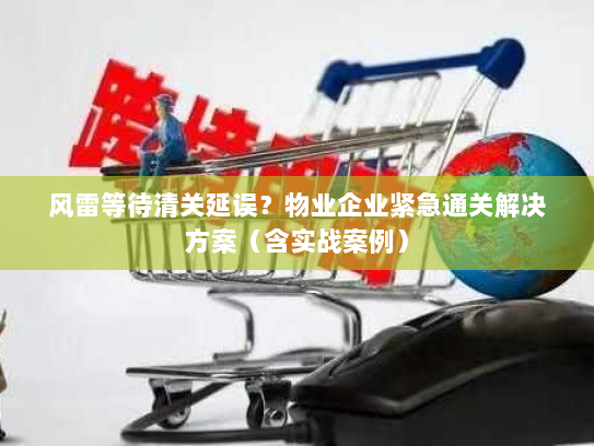 风雷等待清关延误?物业企业紧急通关解决方案(含实战案例) 风雷等待清关延误?物业企业紧急通关解决方案(含实战案例)
