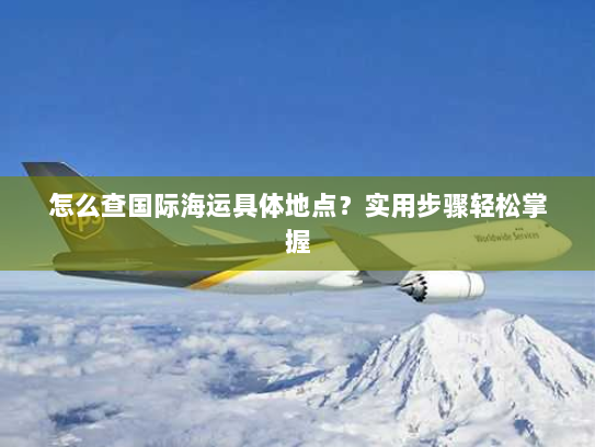 怎么查国际海运具体地点？实用步骤轻松掌握