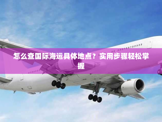 怎么查国际海运具体地点?实用步骤轻松掌握 怎么查国际海运具体地点?实用步骤轻松掌握