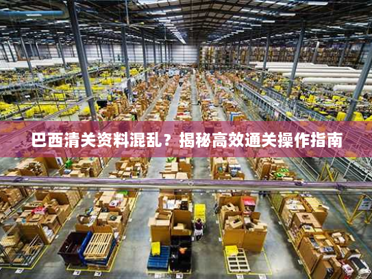 巴西清关资料混乱?揭秘高效通关操作指南 巴西清关资料混乱?揭秘高效通关操作指南