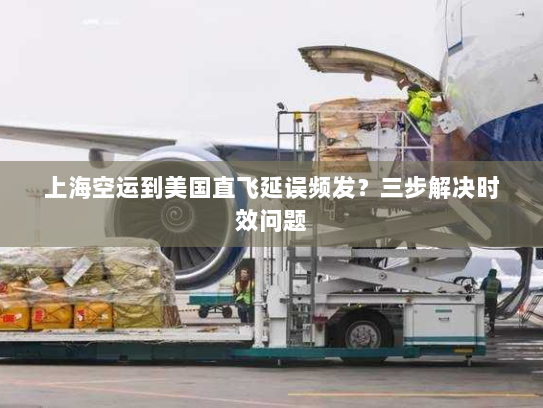 上海空运到美国直飞延误频发？三步解决时效问题