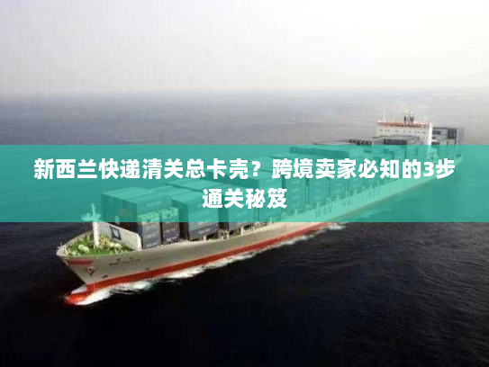 新西兰快递清关总卡壳？跨境卖家必知的3步通关秘笈