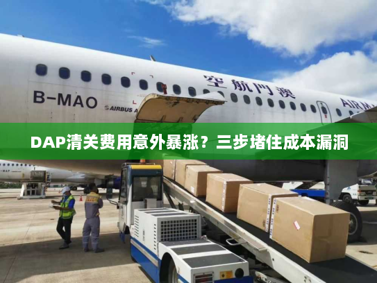 DAP清关费用意外暴涨？三步堵住成本漏洞