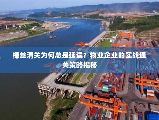 椰丝清关为何总是延误?物业企业的实战通关策略揭秘 椰丝清关为何总是延误?物业企业的实战通关策略揭秘
