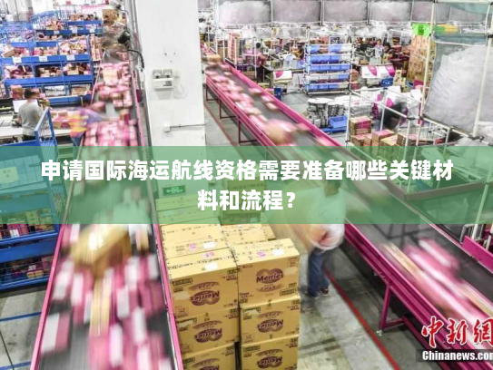 申请国际海运航线资格需要准备哪些关键材料和流程？