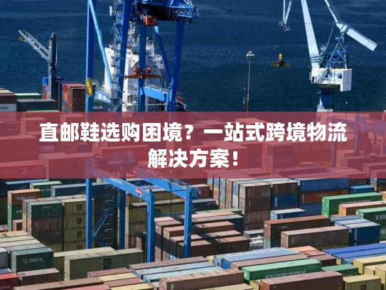 直邮鞋选购困境?一站式跨境物流解决方案! 直邮鞋选购困境?一站式跨境物流解决方案!