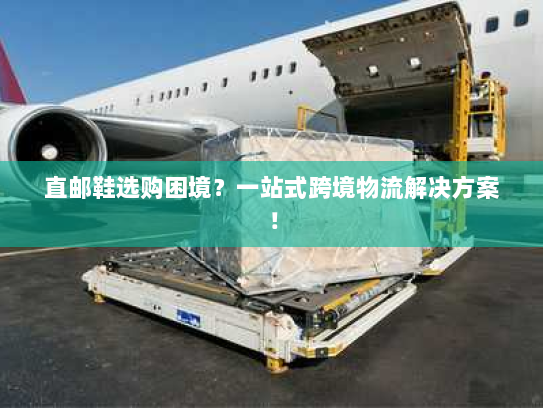 直邮鞋选购困境?一站式跨境物流解决方案! 直邮鞋选购困境?一站式跨境物流解决方案!