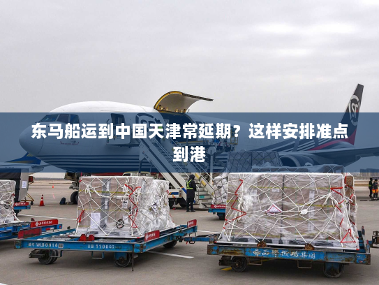 东马船运到中国天津常延期?这样安排准点到港 东马船运到中国天津常延期?这样安排准点到港