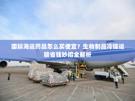 国际海运药品怎么买便宜?生物制品冷链运输省钱妙招全解析 国际海运药品怎么买便宜?生物制品冷链运输省钱妙招全解析
