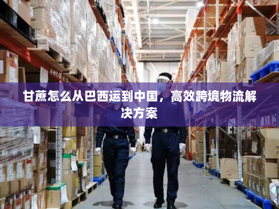 甘蔗怎么从巴西运到中国,高效跨境物流解决方案 甘蔗怎么从巴西运到中国,高效跨境物流解决方案