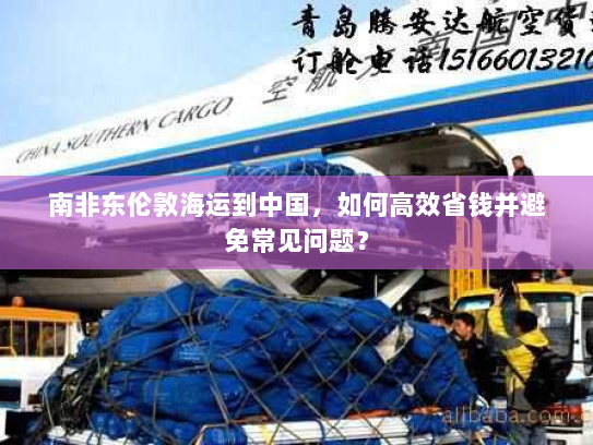 南非东伦敦海运到中国，如何高效省钱并避免常见问题？