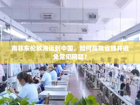 南非东伦敦海运到中国,如何高效省钱并避免常见问题? 南非东伦敦海运到中国,如何高效省钱并避免常见问题?