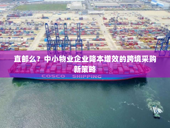 直邮么?中小物业企业降本增效的跨境采购新策略 直邮么?中小物业企业降本增效的跨境采购新策略