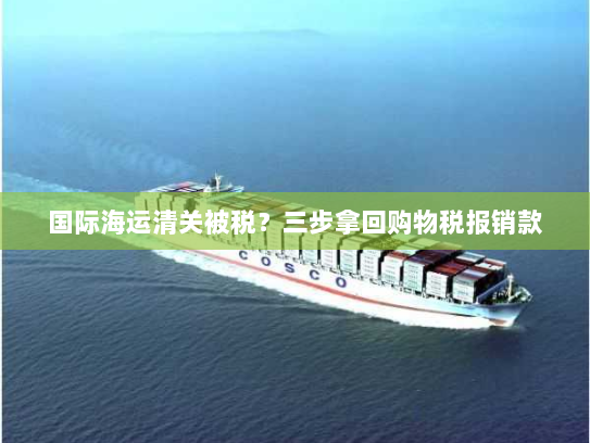 国际海运清关被税?三步拿回购物税报销款 国际海运清关被税?三步拿回购物税报销款