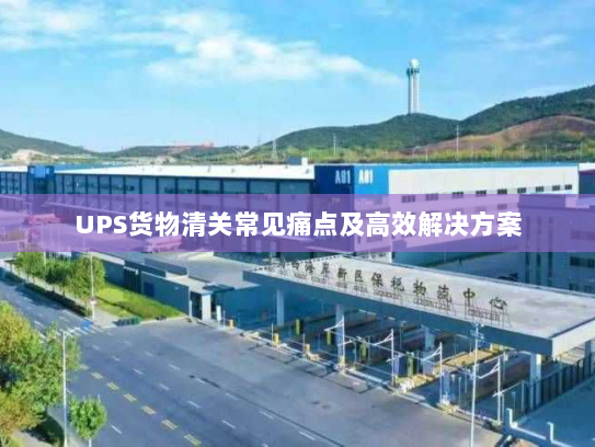 UPS货物清关常见痛点及高效解决方案