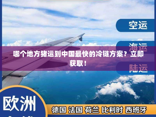 哪个地方猪运到中国最快的冷链方案？立即获取！