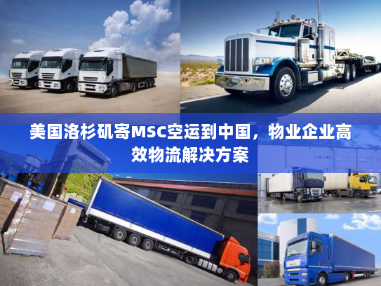 美国洛杉矶寄MSC空运到中国,物业企业高效物流解决方案 美国洛杉矶寄MSC空运到中国,物业企业高效物流解决方案