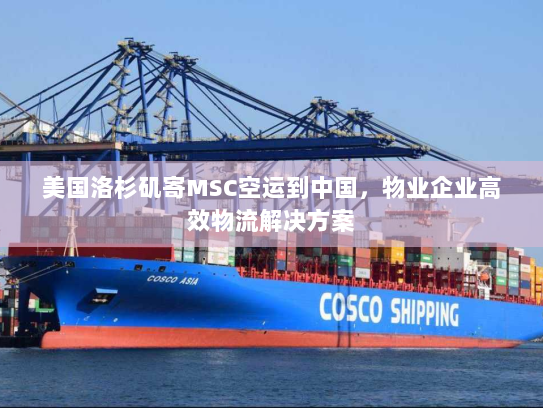 美国洛杉矶寄MSC空运到中国,物业企业高效物流解决方案 美国洛杉矶寄MSC空运到中国,物业企业高效物流解决方案