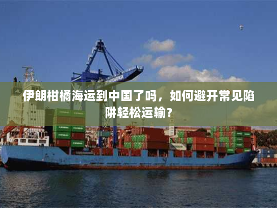 伊朗柑橘海运到中国了吗,如何避开常见陷阱轻松运输? 伊朗柑橘海运到中国了吗,如何避开常见陷阱轻松运输?