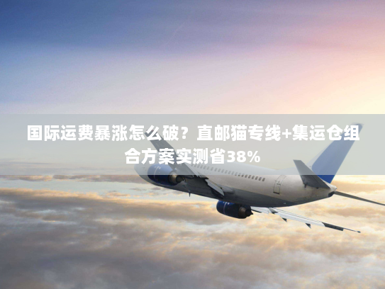 国际运费暴涨怎么破?直邮猫专线+集运仓组合方案实测省38% 国际运费暴涨怎么破?直邮猫专线+集运仓组合方案实测省38%