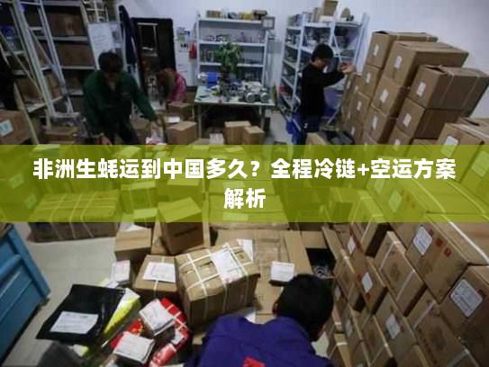 非洲生蚝运到中国多久?全程冷链+空运方案解析 非洲生蚝运到中国多久?全程冷链+空运方案解析