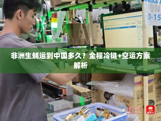 非洲生蚝运到中国多久?全程冷链+空运方案解析 非洲生蚝运到中国多久?全程冷链+空运方案解析