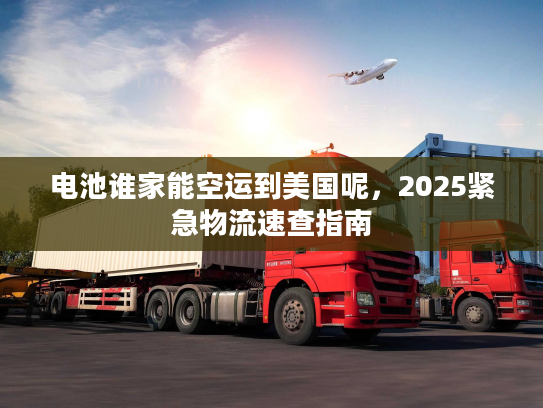 电池谁家能空运到美国呢，2025紧急物流速查指南