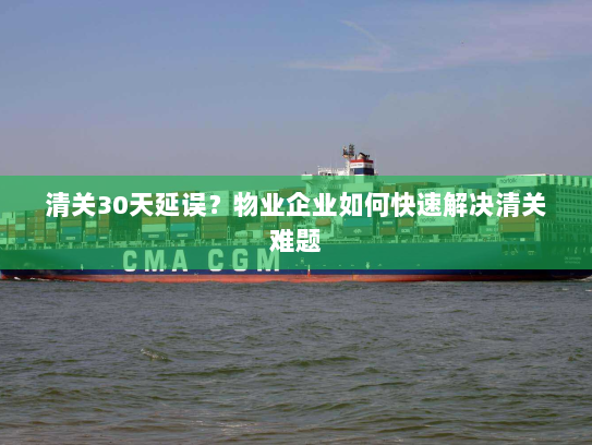 清关30天延误？物业企业如何快速解决清关难题