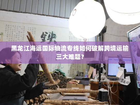 黑龙江海运国际物流专线如何破解跨境运输三大难题? 黑龙江海运国际物流专线如何破解跨境运输三大难题?