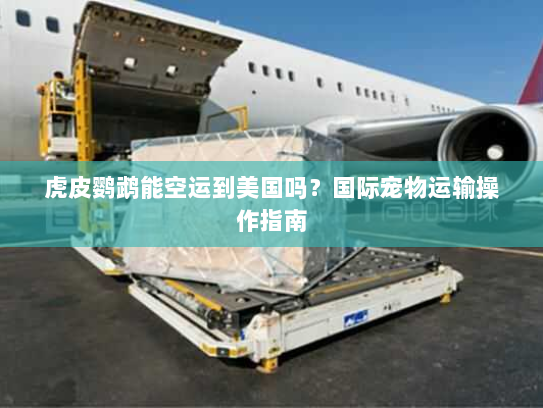 虎皮鹦鹉能空运到美国吗?国际宠物运输操作指南 虎皮鹦鹉能空运到美国吗?国际宠物运输操作指南