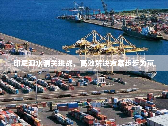 印尼泗水清关挑战,高效解决方案步步为赢 印尼泗水清关挑战,高效解决方案步步为赢