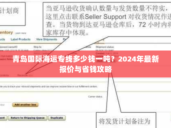 青岛国际海运专线多少钱一吨?2024年最新报价与省钱攻略 青岛国际海运专线多少钱一吨?2024年最新报价与省钱攻略