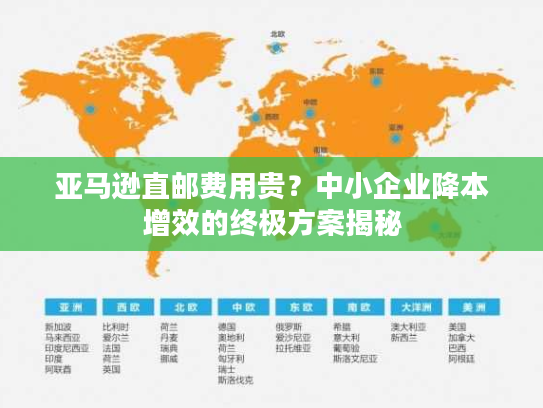 亚马逊直邮费用贵？中小企业降本增效的终极方案揭秘